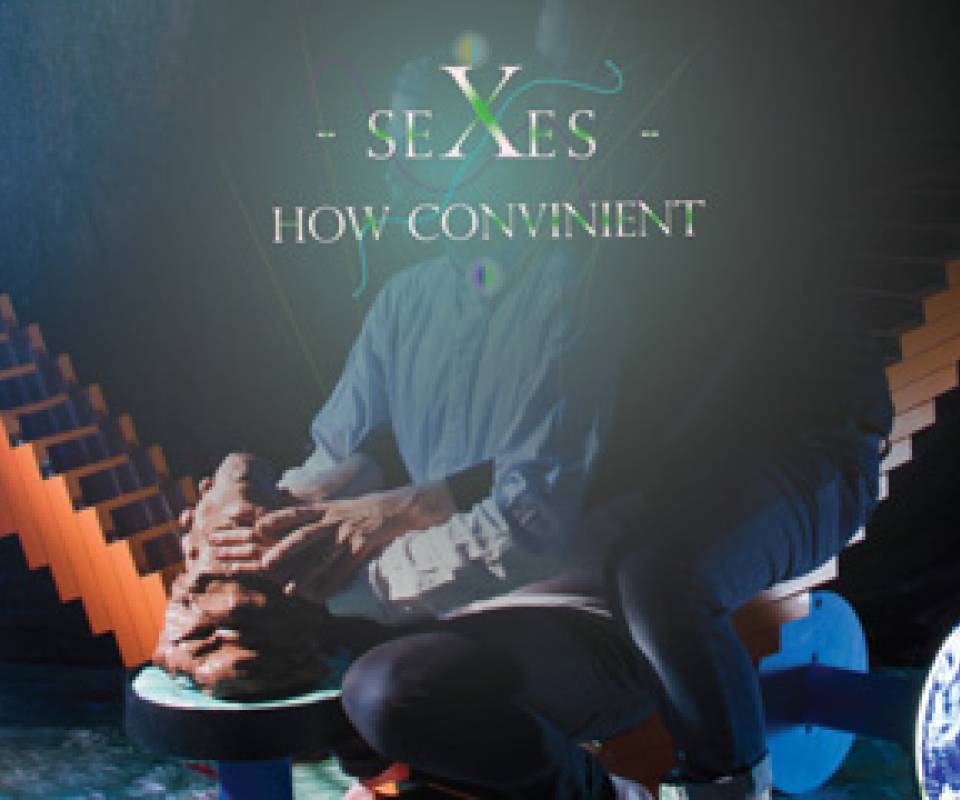 How Convinient SeXeS