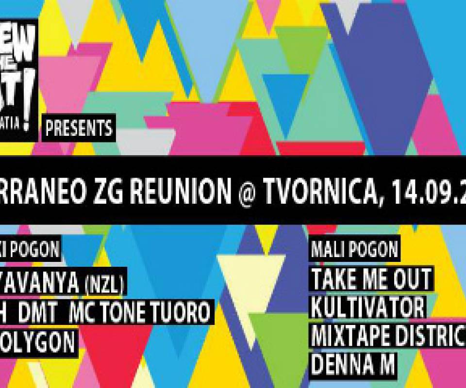 terraneo reunion party