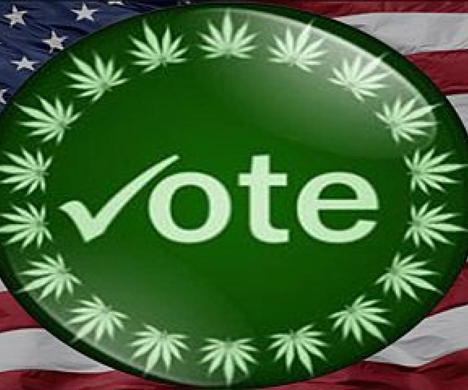 cannabis america