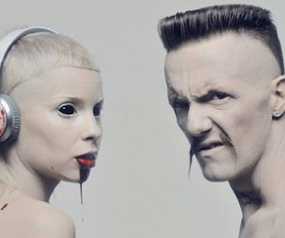 die antwoord