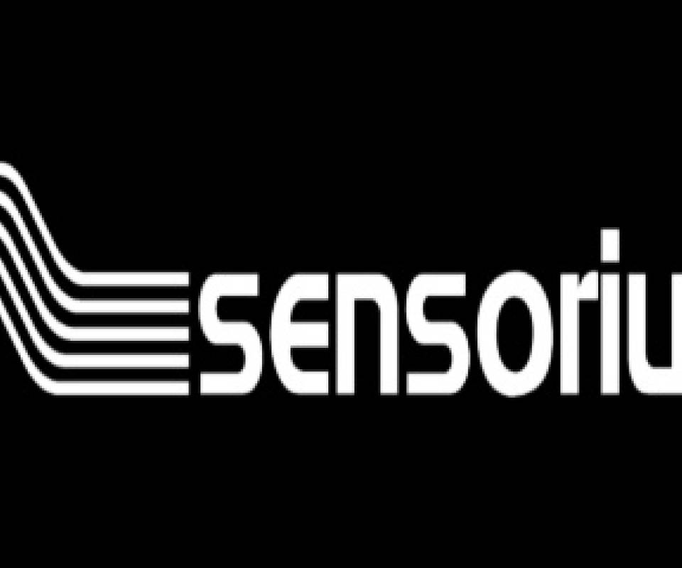 sensorium