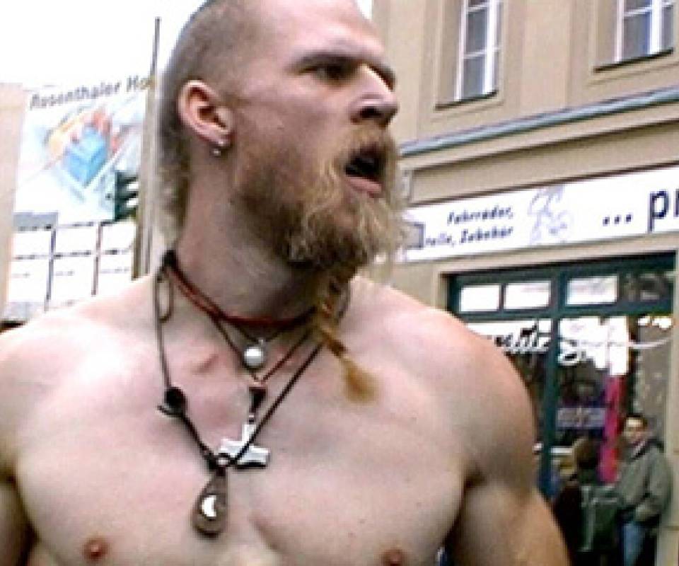 technoviking