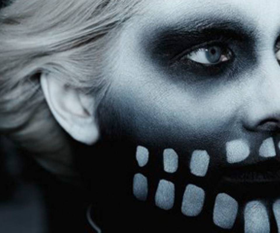 fever ray