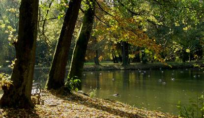 Maksimir