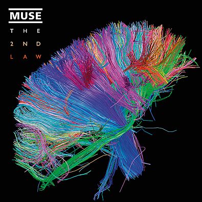 muse